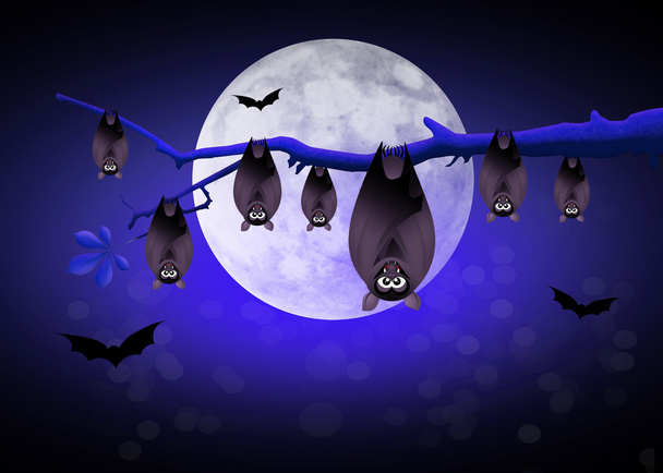 Halloween bats - Photo, Image