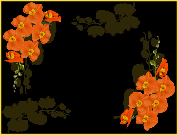 narancssárga orchideák és árnyékok - Vektor, kép