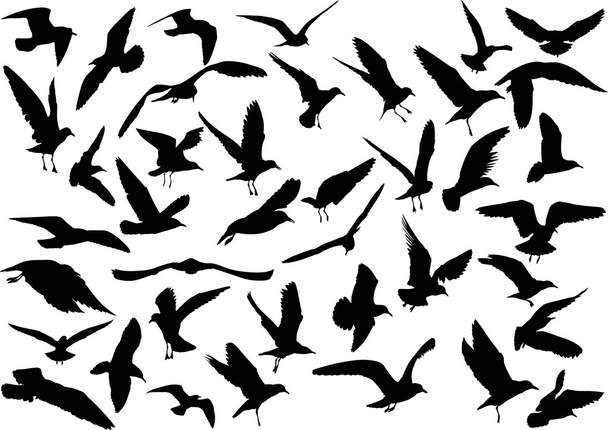 black gulls silhouettes - Vector, Image