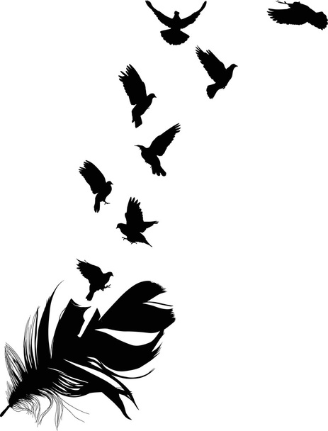 doves flying from feather silhouette - Vector, Image