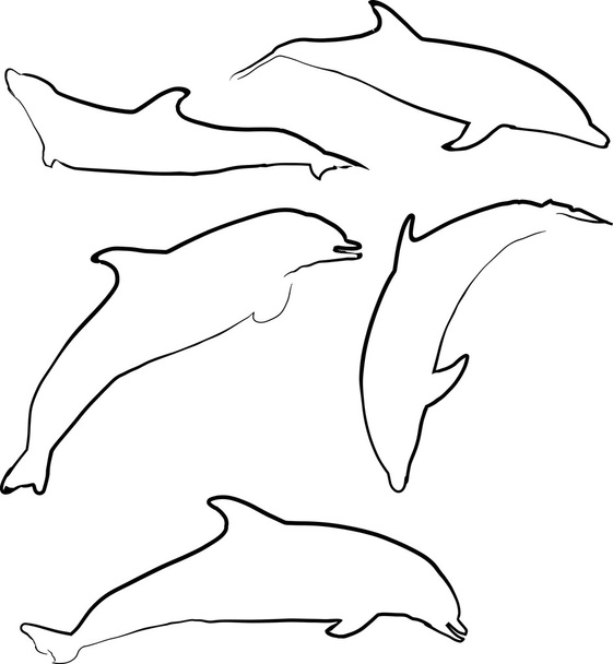 coleção de silhuetas de golfinhos
 - Vetor, Imagem