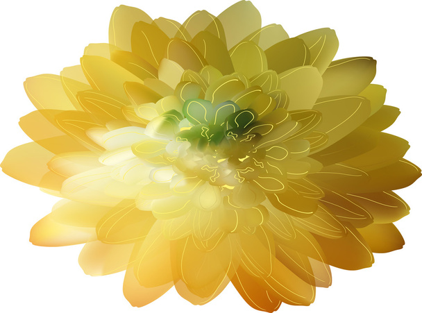大きな黄色の花 - ベクター画像