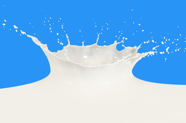 milk splash - Photo, image