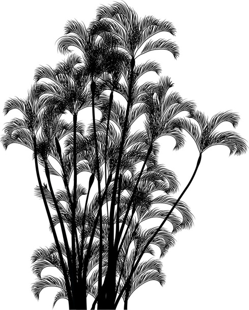 suuri ryhmä palmuja
 - Vektori, kuva