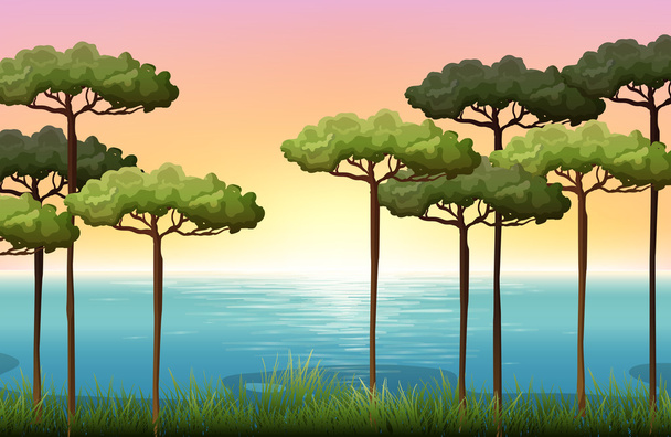 Сцена природы с деревьями и водой
 - Вектор,изображение