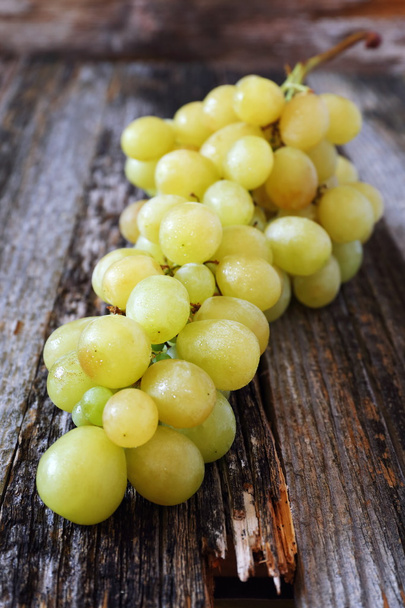 bukiet zielonych winogron - Zdjęcie, obraz