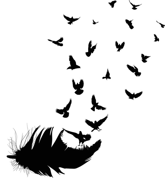 doves flying from feather silhouettes - Vector, Image
