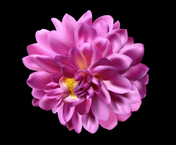Flor rosa grande
 - Vector, Imagen