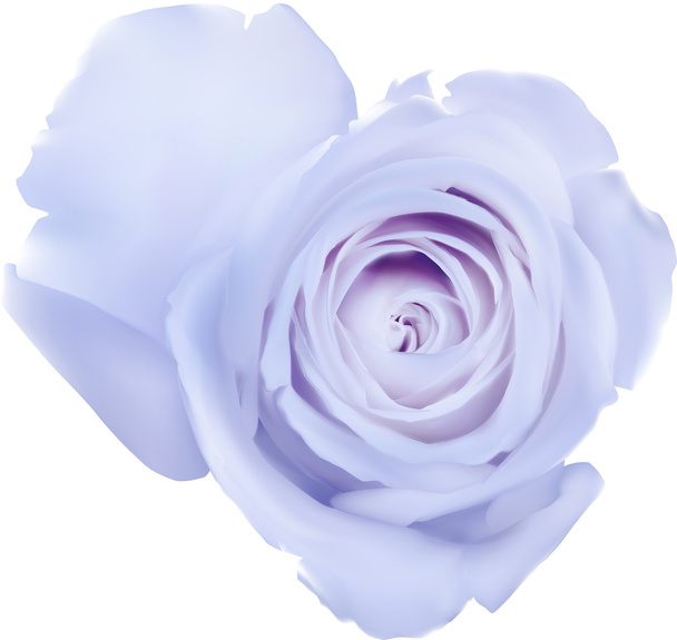 Kék Rózsa virág - Vektor, kép
