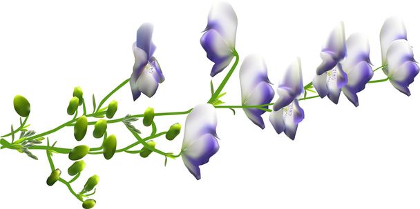 grupo de flores silvestres
 - Vetor, Imagem