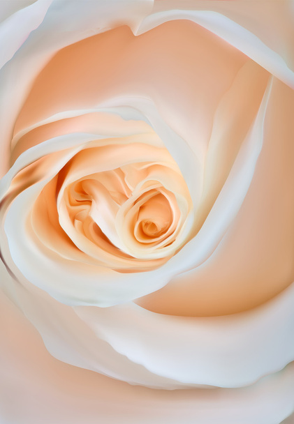 könnyű Rózsa virág - Vektor, kép