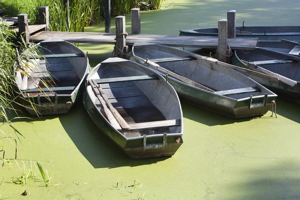 Rowboats - Photo, Image