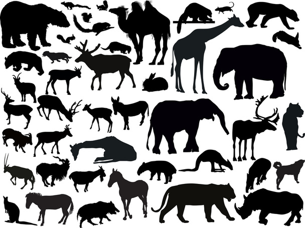 Collection silhouettes d'animaux
 - Vecteur, image