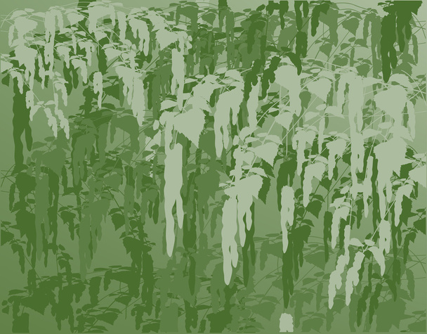 Kevät vihreät oksat
 - Vektori, kuva