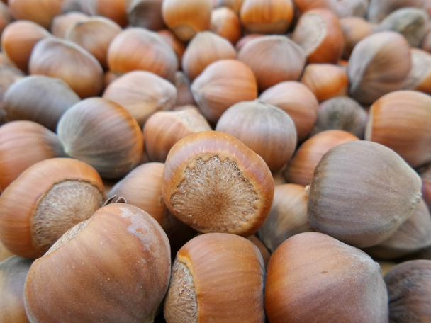 Hazelnuts wallpaper - Photo, Image
