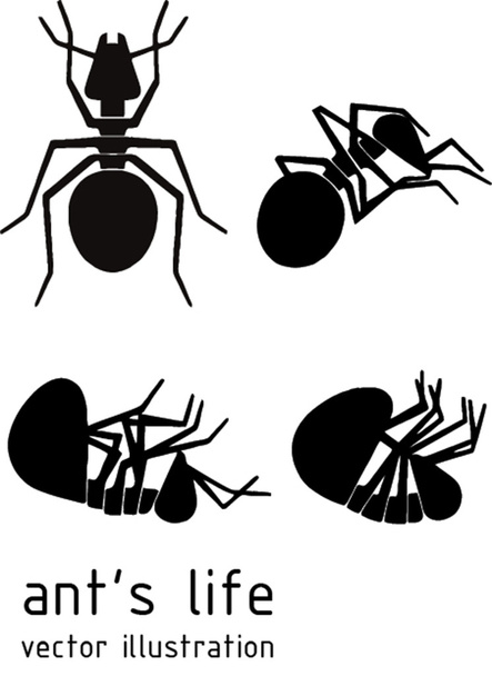 ant dying over white background. Vector illustration - Vettoriali, immagini