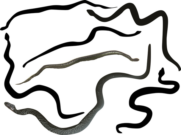 sötét kígyók sziluettek - Vektor, kép