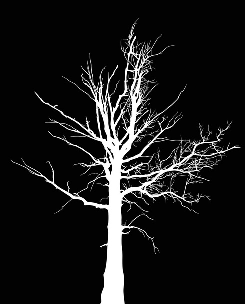white dry tree silhouette - Vector, Image