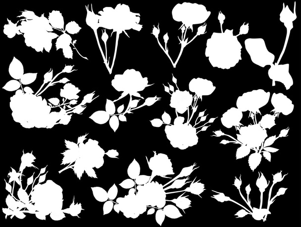 white roses silhouettes - Vecteur, image