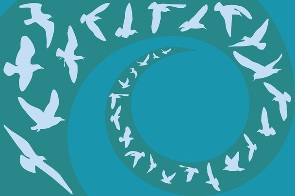 Las gaviotas vuelan
 - Vector, imagen