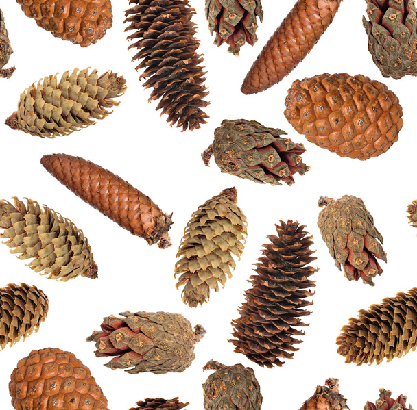 background from brown cones - Photo, Image