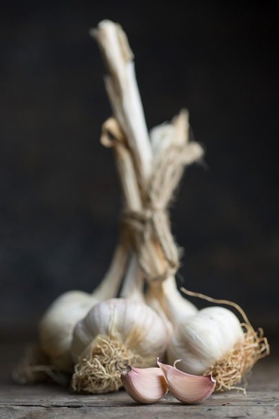 garlic - Photo, Image