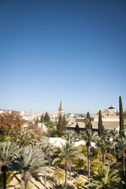 Córdoba Cityscape
 - Foto, Imagem