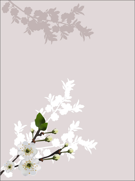 árvore de primavera ramos florescentes
 - Vetor, Imagem