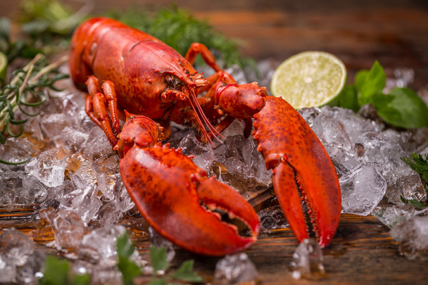 Boiled lobster - Fotoğraf, Görsel