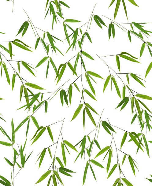 background from bamboo branches - Photo, Image