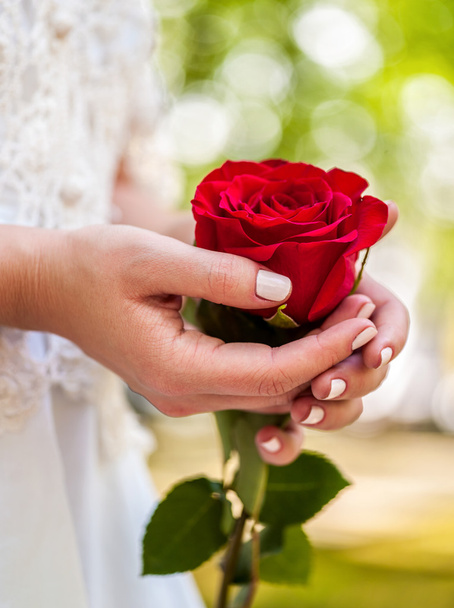 Bride with rose bouquet - Photo, image