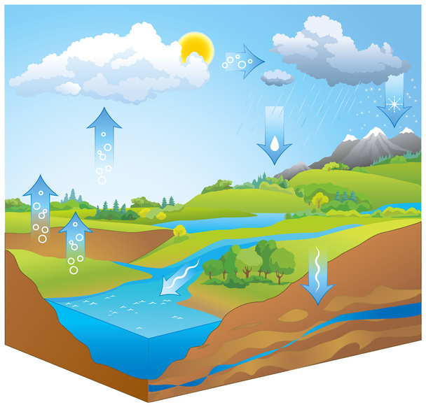 Water Cycle. Vector diagram - Vector, afbeelding