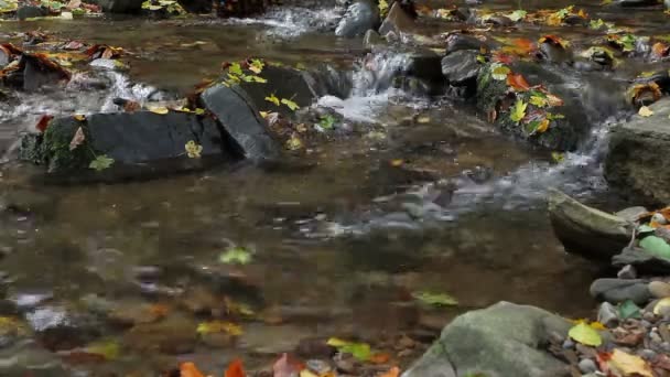 Autumn waterfall with yellow leaves - Footage, Video