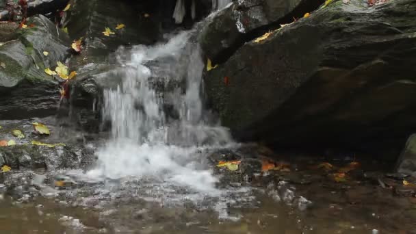 Осінній водоспад з жовтим листям
 - Кадри, відео