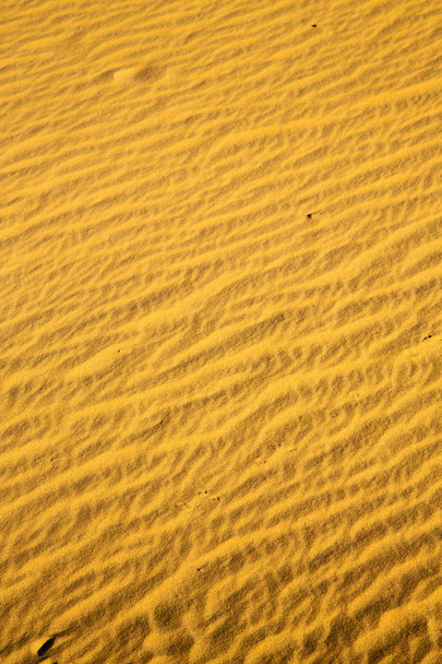 коричнева піщана дюна в сахарі
   - Фото, зображення