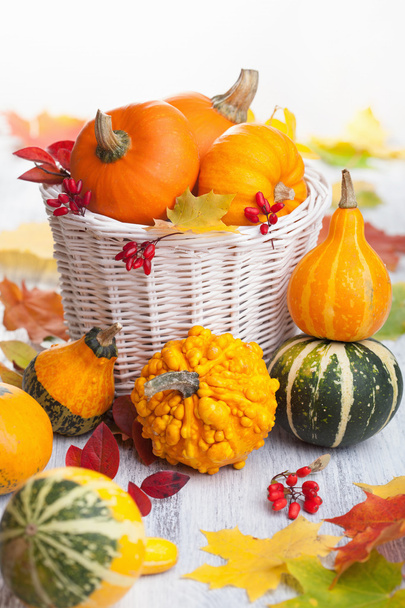 autumn halloween decorative pumpkins in basket - Photo, Image