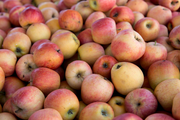 Apfelgruppe - Foto, Bild