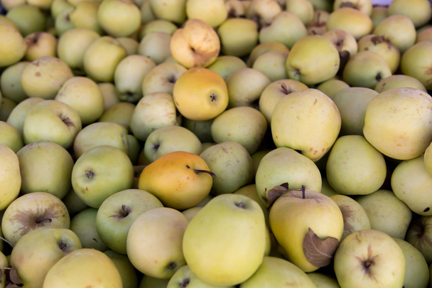 Pommes biologiques
 - Photo, image