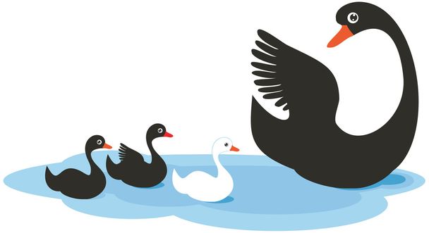 Uma família de cisnes: ilustração vetorial
. - Vetor, Imagem