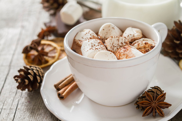 Hot chocolate with marshmallows - Fotoğraf, Görsel
