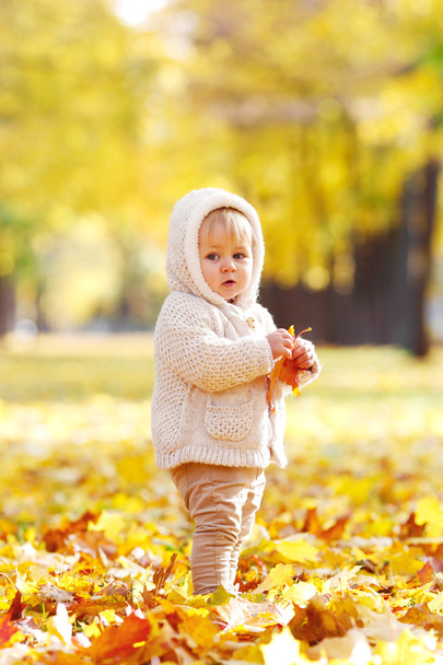 Autumn portrait of child - Photo, Image