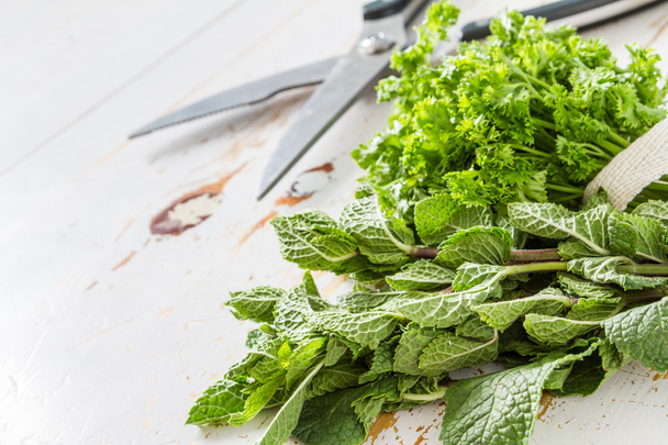 Herbs background - mint, parsley, garden scissors - Foto, afbeelding