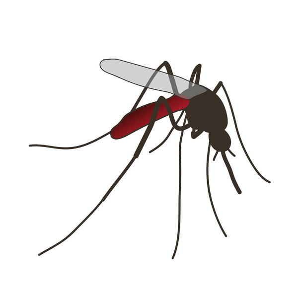 комары. реалистичный комар
. - Вектор,изображение