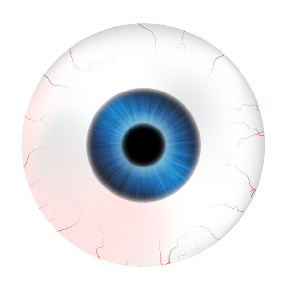 Imagen de ojo humano realista con pupilo colorido, iris. Ilustración vectorial aislada sobre fondo blanco. - Vector, Imagen