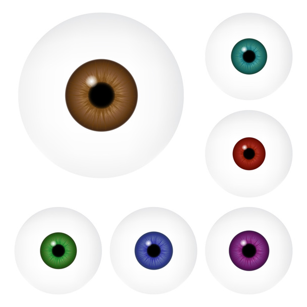 Kép reális emberi szem labda színes pupilla, írisz. Vektor illusztráció elszigetelt fehér háttér. - Vektor, kép