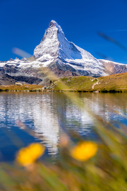 Matterhorn with relfection in StelliSee against flowers, Zermatt, Switzerland - Photo, Image