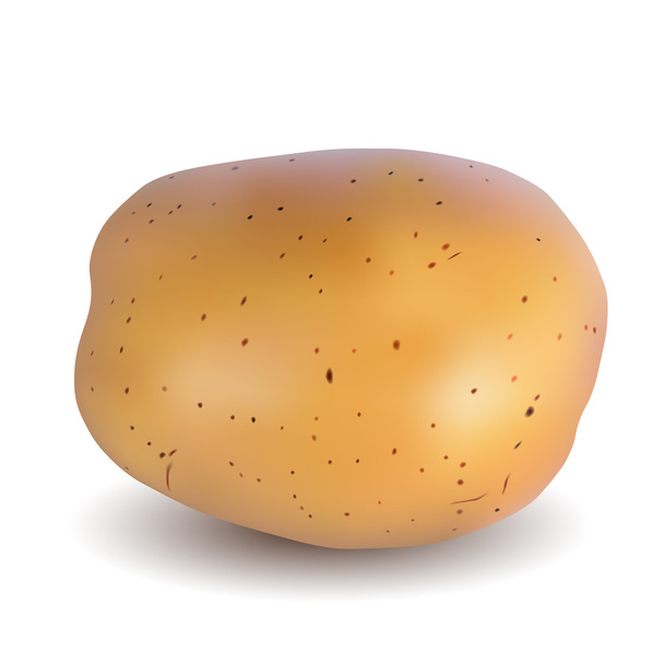 Kartoffeln - Vektor, Bild