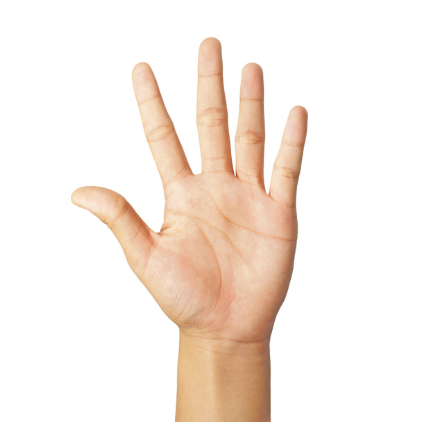 niños contando la mano número cinco aislados en blanco
 - Foto, imagen