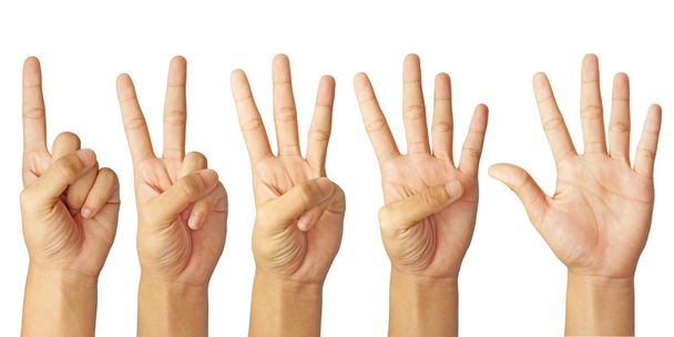 niños contando la mano número uno a cinco aislados en blanco
 - Foto, Imagen