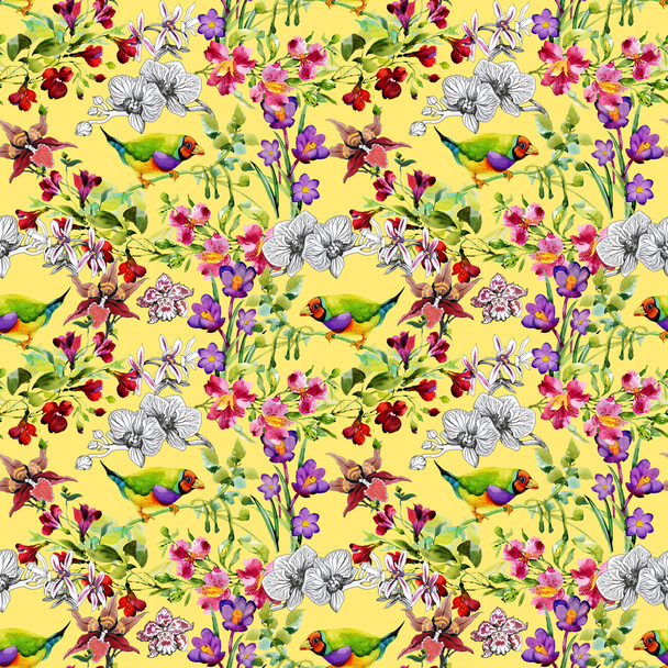 tropical  birds and exotic flowers - Valokuva, kuva